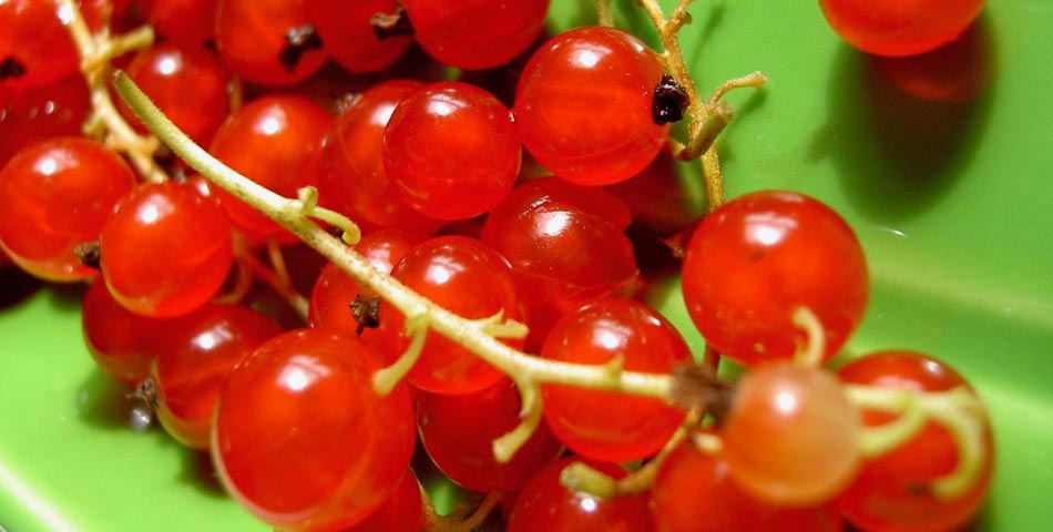 Fruits et légumes de saison à la ferme Boetsch-Wolf